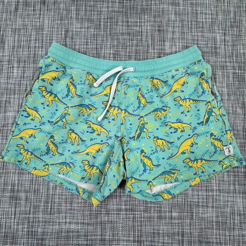 Chubbies Men's Large Dinosaur Print 5.5